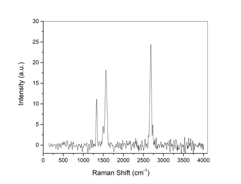 raman test